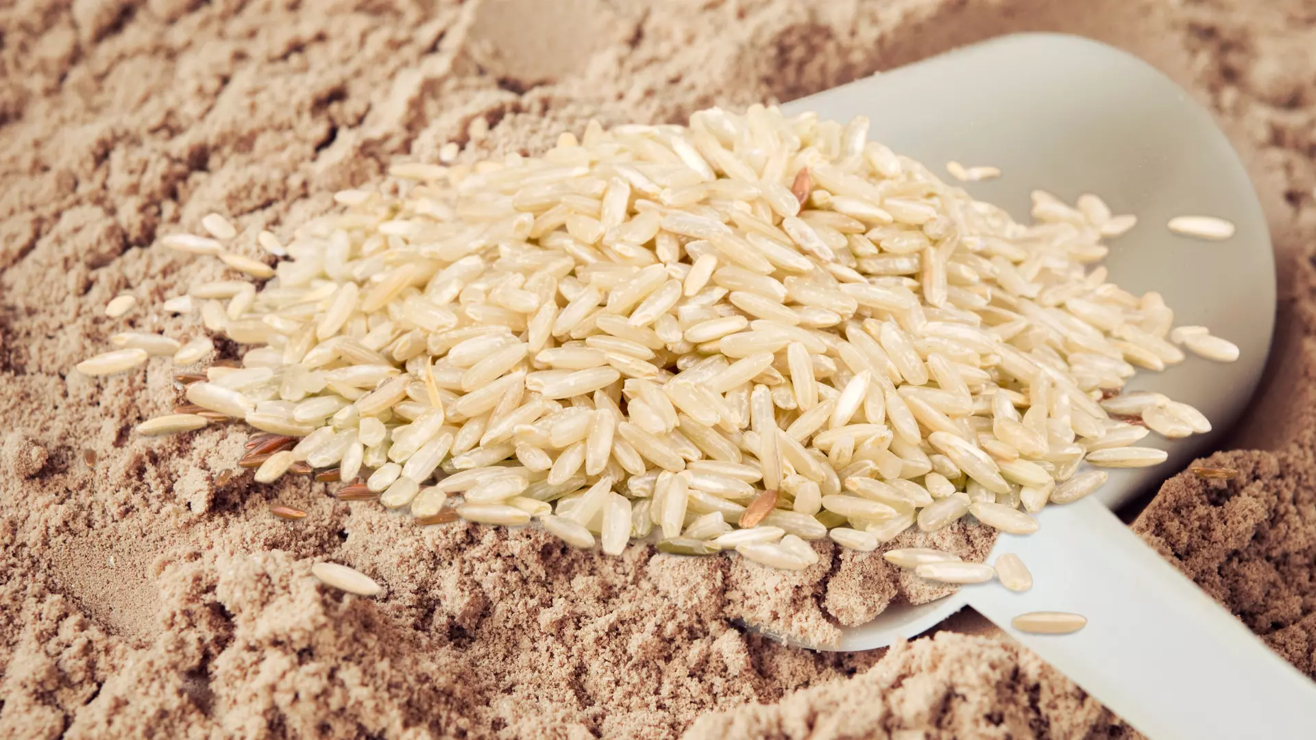 Brown Rice Protein Powder 8 BestSelling Vegan Choices