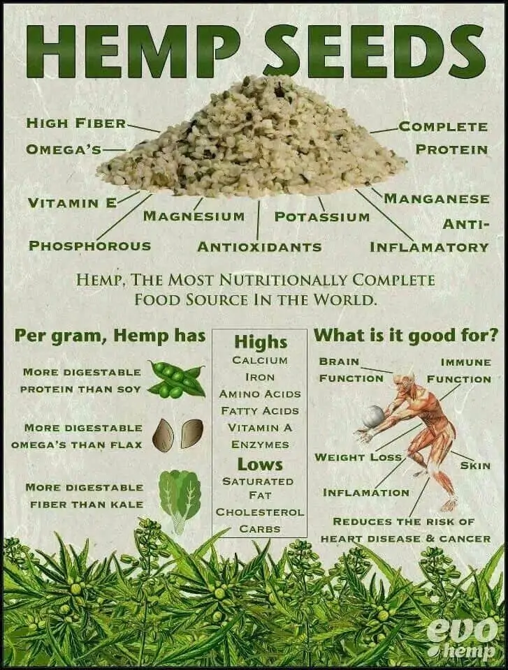 Hemp Seeds Benefits