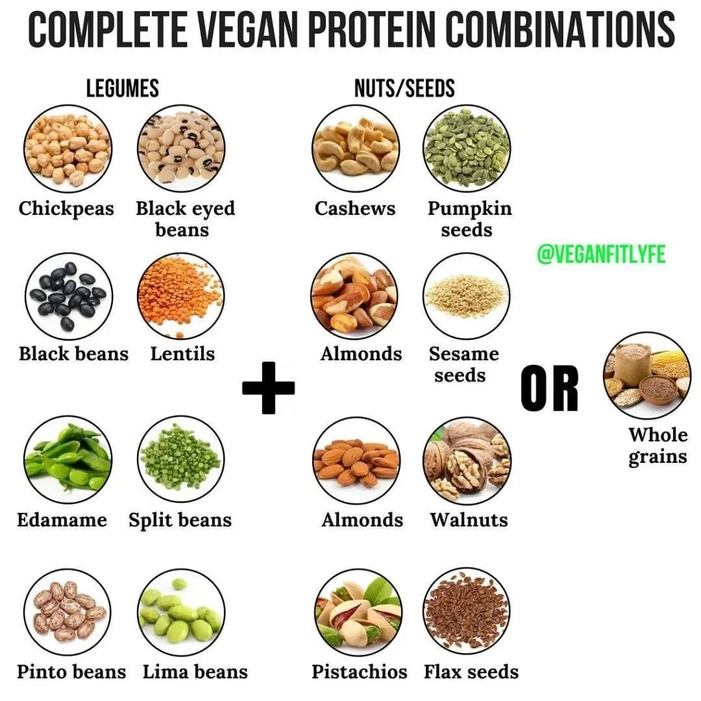 Best Combinations of Vegetables with Protein