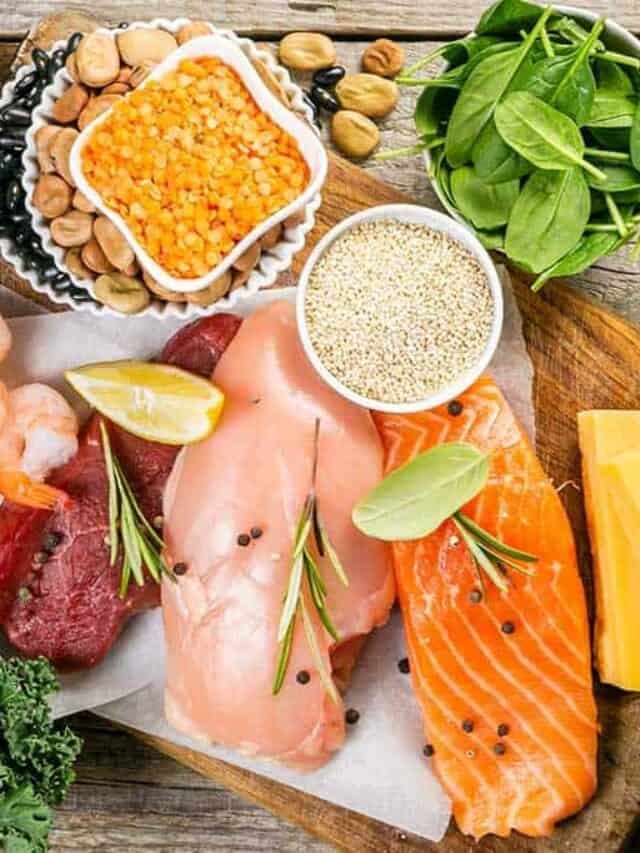 A Lot Of Protein Which Are The 23 Best Food Sources?