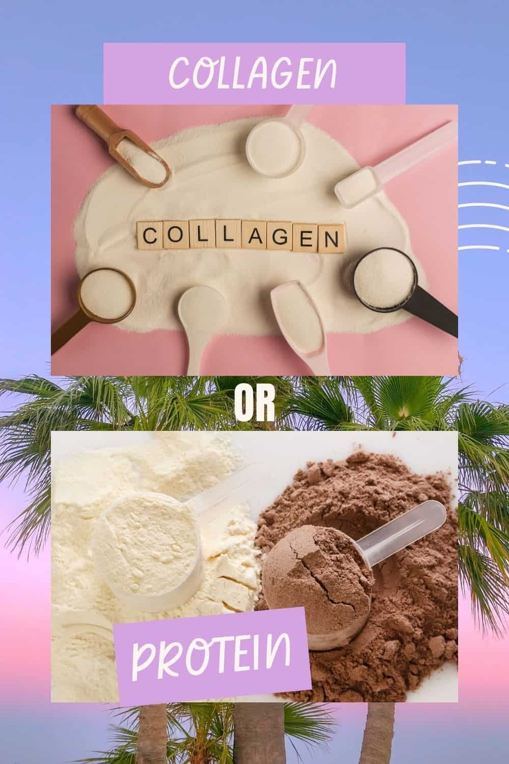 Collagen vs Protein Powder 9 Best Collagen Powders