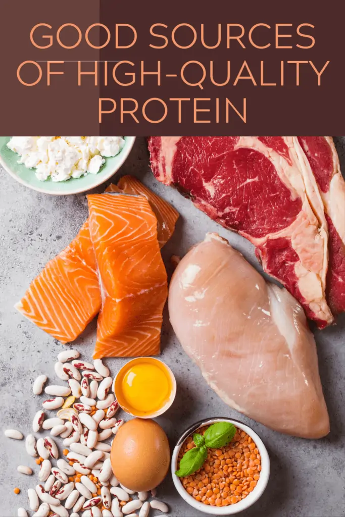 Good Sources of High Quality Protein