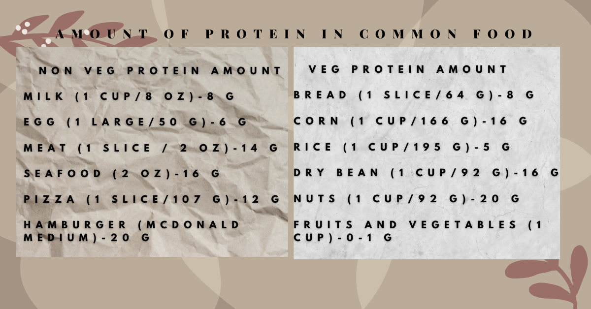 Protein Amount In Common Food 