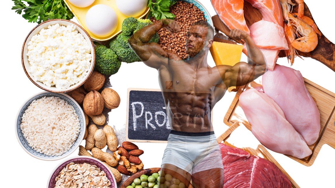 Protein and Muscle
