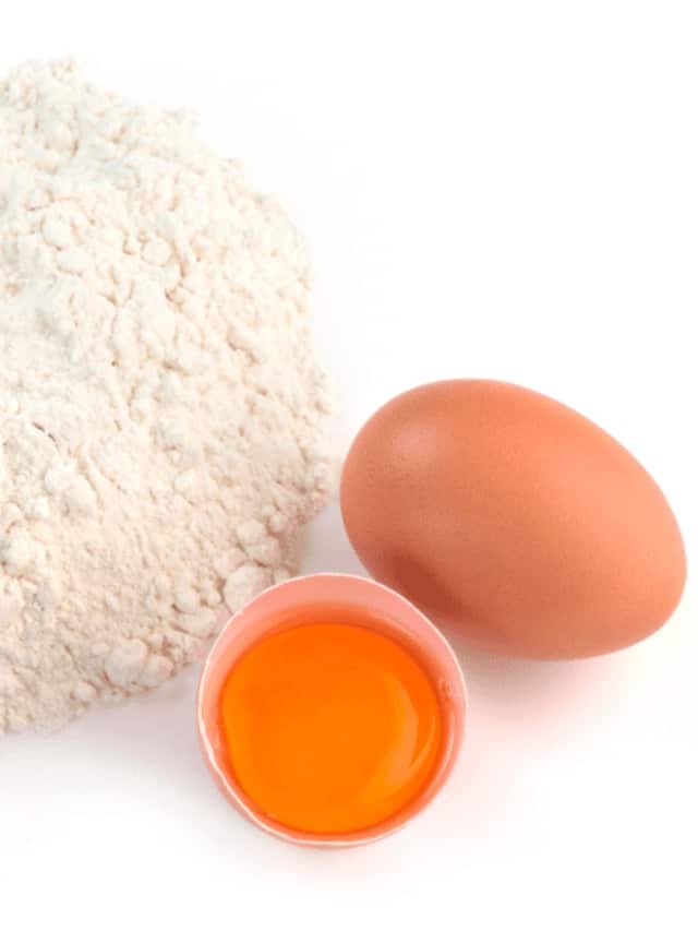 Best Egg White Protein Powders my active tribe